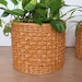see more listings in the plant basket section