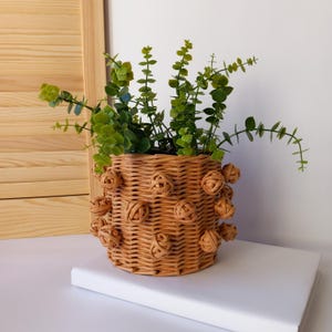 May include: A light brown woven wicker basket planter, decorated with ball accents, holding green leafy plants. The planter sits on a white surface. The background features a wooden shutter.