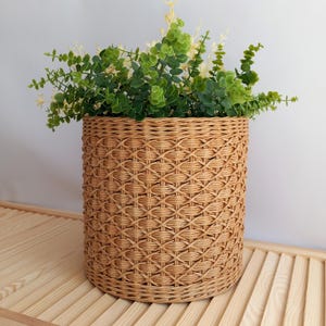 Handmade Wicker Planter Basket: Beige Boho Plant Pot Holder