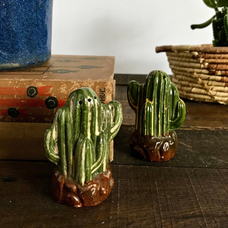 Vintage Cactus Salt and Pepper Shakers Ceramic Cactus Collectible Shakers