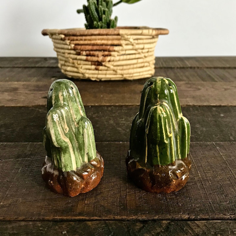 Vintage Cactus Salt and Pepper Shakers Ceramic Cactus Collectible Shakers