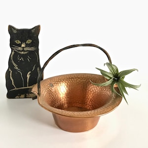May include: A small copper planter with a hammered finish and a wire handle. The planter is empty and has a small air plant sitting next to it.