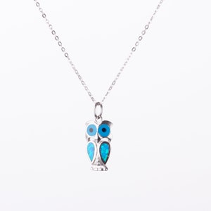 May include: A silver necklace with an owl pendant featuring blue evil eye details. The owl is a popular symbol of wisdom and protection.