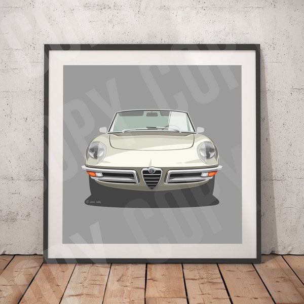 Alfa Romeo Spider Mk1 artwork print, Add reg & colour, Frame not included, wall print, illustration, gift, birthdays, Husband gift idea