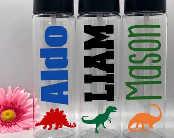 Botella de agua de dinosaurio personalizada, regalos de fiesta de dinosaurios, regalo de dinosaurio, botella de agua personalizada para niños, botella de agua para niños con pajitas