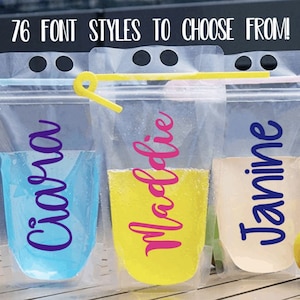 Adult Drink Pouches Personalized Adult Beverage Pouch Girls Trip Beach Drinking Glasses Pool Party Favors Booze Bags Pool Pouch