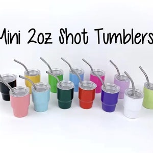 Mini Shot Glass 2oz Tumbler Stainless Steel With Lid & Straw Bachelorette Bachelor Party Favor Christmas Stocking Stuffer Tumbler With Straw