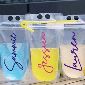 Personalized Adult Beverage Pouch Pool Party Birthday Favors Drinks On The Beach Bachelorette Party Girls Trip Party Favors Booze Bags Gift