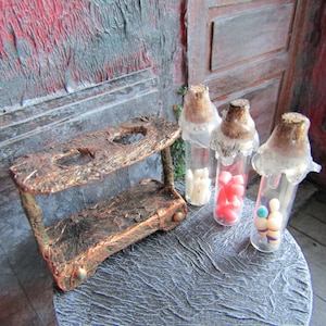 May include: A rustic wooden shelf with three glass jars filled with colorful candies. The jars have clear lids and are decorated with white and gold accents. The shelf is on a gray textured surface.