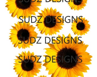 Free Free 297 Sunflower Waterslide Svg SVG PNG EPS DXF File