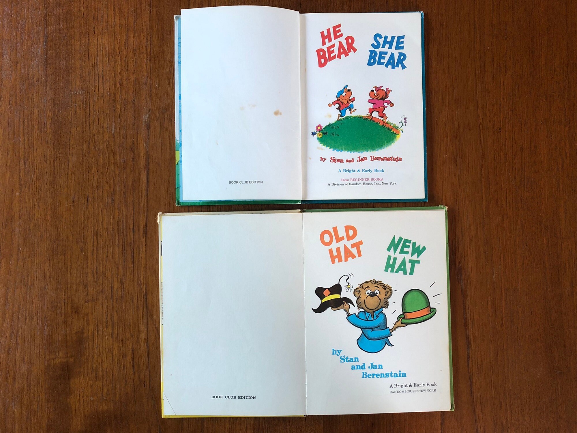 Lot of 4 Berenstain Bears Hardcover Books, the Bears' Picnic