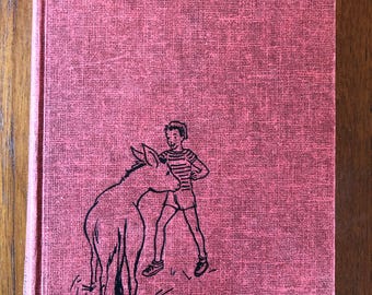 The Secret of Donkey Island, by Lavinia R. Davis, illus. by Jean Macdonald Porter, 1952, vintage red hardcover chapter book