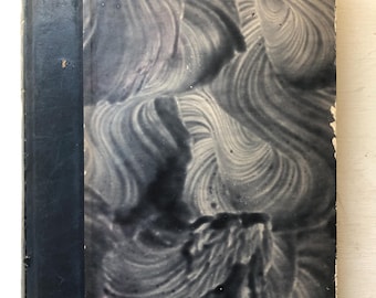 Fra Mark Og Skov, by Vilhelm Bergsoe, 1915, antique gold and blue Danish insect book