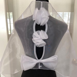 Organza Shawl Inez