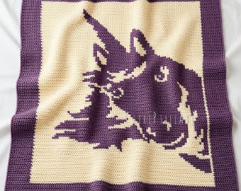 Haakpatroon Unicorn SC (pdf) – maat 29 × 33 inch (70 × 80 cm) – Veelzijdig paneel voor dekens, wanddecoratie, truien