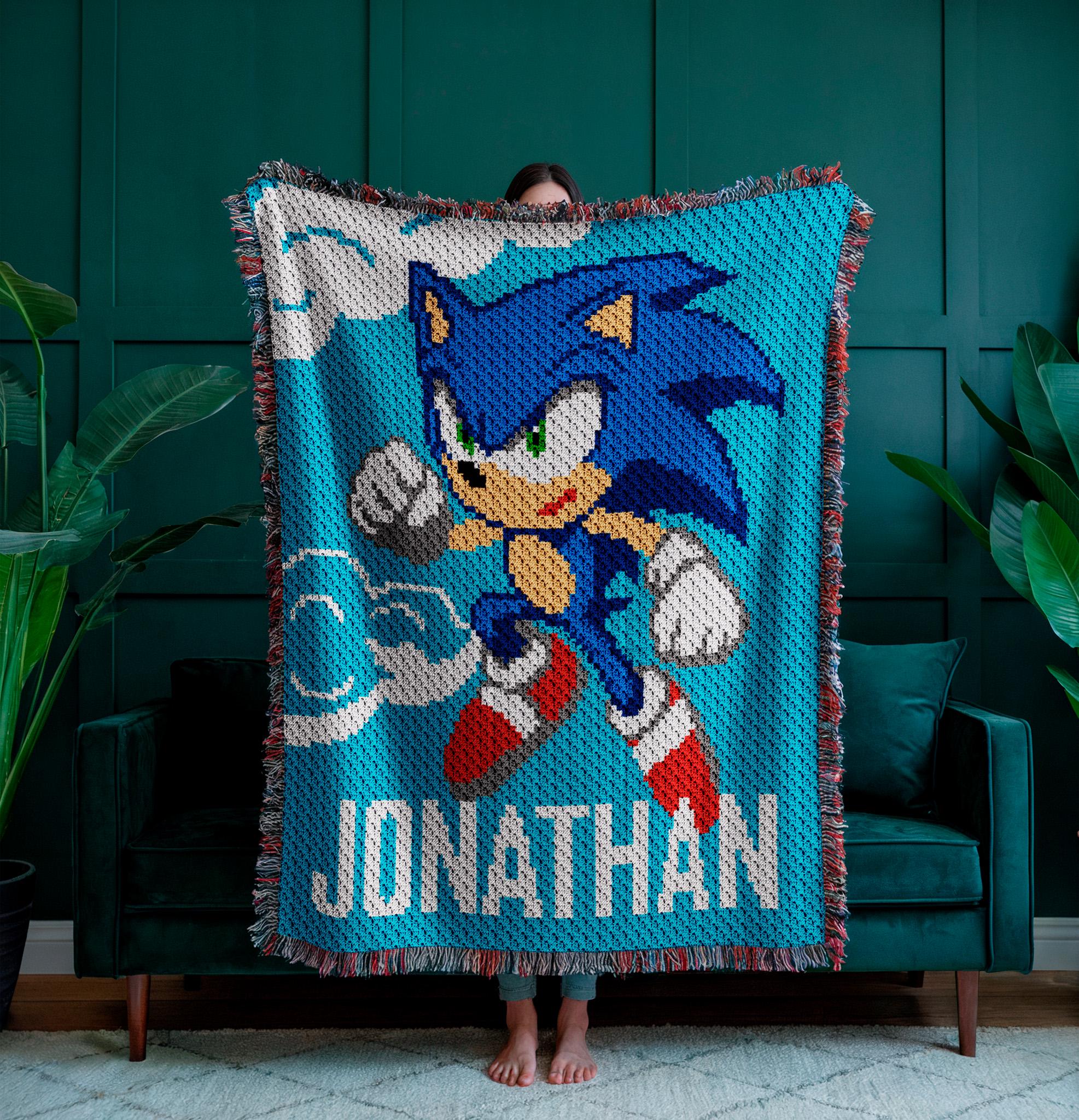 ソニック ピクセル フレーム Pixel Frame 飾り 海外限定 81czjCT0zFL._AC_UF350,