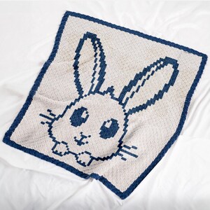 Patrón de manta de ganchillo de conejito C2C – Manta cuadrada para bebé – Regalo de Pascua para recién nacido – Graphghan azul y blanco – De esquina a esquina – Archivo digital PDF
