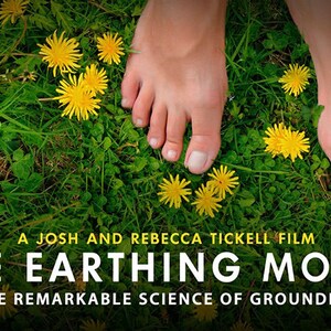 Grounding Shoe Inserts Earthing Insoles Shungite Foot Leg Pain Relief, Chakra Balance Stamina Increase G ift image 5