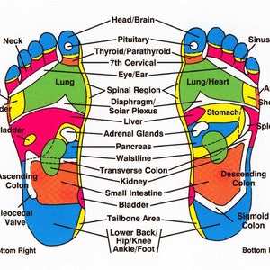 Grounding Shoe Inserts Earthing Insoles Shungite Foot Leg Pain Relief, Chakra Balance Stamina Increase G ift image 3