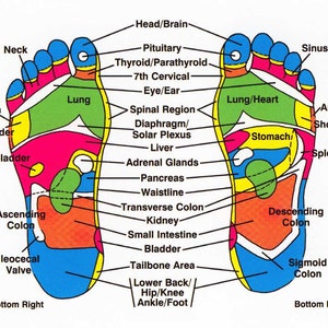 Puede incluir: Un diagrama de los pies que muestra los puntos de reflexolog&iacute;a para diferentes partes del cuerpo. El diagrama muestra el pie derecho y el pie izquierdo con las partes del cuerpo correspondientes etiquetadas. Los pies est&aacute;n coloreados en tonos de azul, verde, amarillo, naranja y rojo.