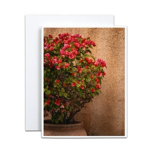 Bougainvilliers vierges pour le printemps, douche nuptiale, jardinier, chalet, jardin, carte de remerciement pour Thanksgiving, cadeau d'hôtesse, pendaison de crémaillère