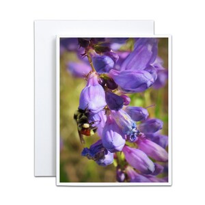 100x120 Hummel Karte Grußkarte Wildblumen Briefpapier Geschenk für Gärtner Lila Penstemon für Frühling Gartenparty Willkommen neues Baby