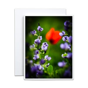Tarjeta en blanco con flores silvestres de la pradera índigo y amapola para la anfitriona, tarjeta de recuerdo para mensaje de condolencia, pensando en ti, regalo para jardineros.
