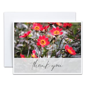 Rote Dahlie Einfache Note Card Danke leere Geschenkkarte für Gärtner Geschenk unter 5 Thanksgiving Hostess Dankeskarte um die Dankbarkeit zu fördern