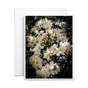 Cartão em branco com flores de macieira para chá de panela na primavera, chá de bebê, cartão de agradecimento para jardineiro, jardim de chalé, presente para anfitriã e madrinha