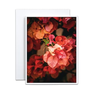 Carte vierge à impression jet d'encre bougainvilliers pour un cadeau de Thanksgiving pour hôtesse Carte de remerciement pour les moins de 5 ans pour les producteurs de fleurs du Sud