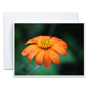 Carte de correspondance pliée 4 x 5 fleurs de dahlia orange vif après la pluie, carte vierge pour hôtesse de Thanksgiving, carte de remerciement pour encourager le renouvellement