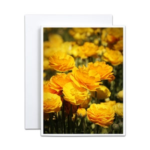 Fiori gialli al sole Biglietto d'auguri piegato 4x5 vuoto per la festa della mamma Biglietto d'invito per la festa della mamma Biglietto di ringraziamento per l'insegnante Nuovo giorno