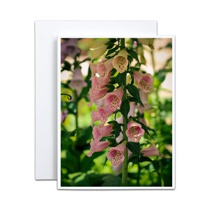 Biglietto d'auguri vuoto con digitale rosa per la festa della mamma, regalo per San Valentino, auguri per baby shower, invito al tè primaverile per gli amanti dei fiori