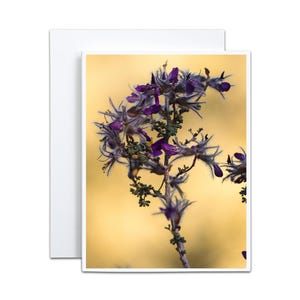 Carte vierge Fleurs du désert Il y a toujours de l'espoir pour le jardinier du sud-ouest, un cadeau plume-plume pour les moins de 5 ans Remerciement pour l'hôtesse qui donne vie