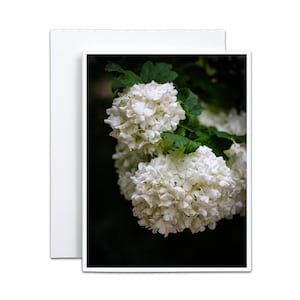 Tarjeta en blanco con forma de bola de nieve para amantes de la jardinería. Regalo para el Día de la Madre. Tarjeta para despedida de soltera. Gracias, anfitriona. Gratitud por iluminar el camino.