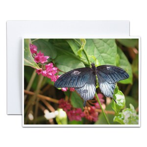 4 x 5 papillons Luxe carte de voeux vierge pour Pâques Carte pour elle Carte d'anniversaire pour fille de 7 ans Carte pour le printemps Garden Party Faveur Bienvenue bébé