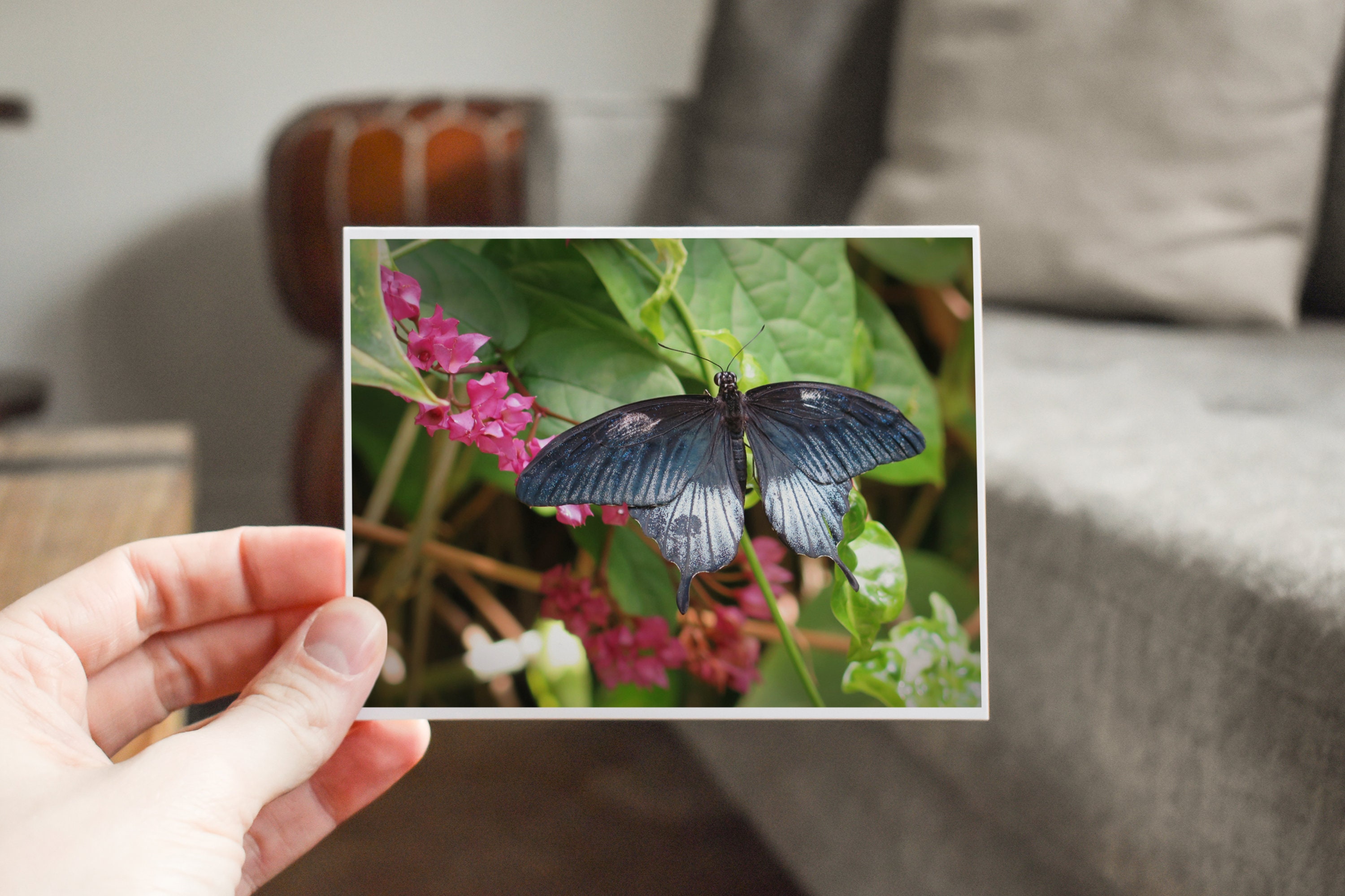 Butterfly Note Card: Blank Greeting Card (4x5) - Etsy