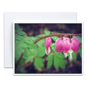 4 x 5 cartes de voeux pliées A2 vierges, coeur qui saigne, cadeau pour elle, nouveau départ, chagrin, sympathie, carte, fleurs après la pluie