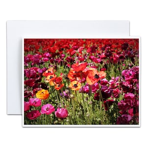 Helles Blumenfeld in Sonnenschein Karte 10x13 Klappkarte Grußkarte Blanko Karte zum Muttertag Baby Shower Party Einladungskarte Danke