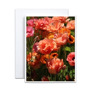 Cartão Flores Brilhantes no Sol 4x5 Cartão de Saudação de Luxo Cartão em Branco para o Dia das Mães para Ela Cartão de Convite para Chá no Jardim Nota de Agradecimento