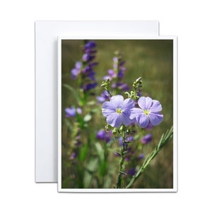 4 x 5 cartes de voeux pliées A2 vierges, fleurs violettes, papeterie, cadeau d'encouragement, jardin, carte de baby shower, anniversaire de jeune fille