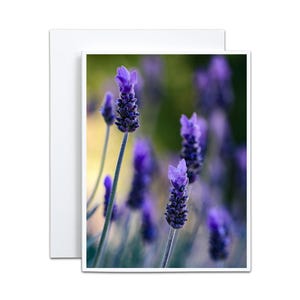Tarjeta de notas en blanco de color morado y lavanda para la anfitriona. Tarjeta de agradecimiento relajante para baby shower. Invitación a la fiesta del té de verano. Recuerdos por menos de 5 dólares.