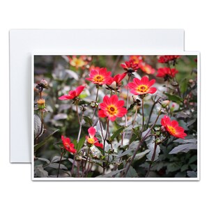 Tarjeta de felicitación con dalia roja para inauguración de la casa, regalo en blanco para jardineros, regalo por menos de 10 dólares para el Día de Acción de Gracias, tarjeta de agradecimiento para la anfitriona para fomentar la esperanza y la renovación