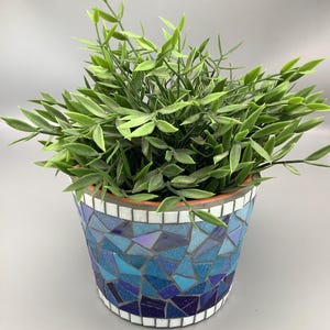 May include: A blue and white mosaic planter with a green leafy plant inside. The planter is made of small, irregular pieces of tile.