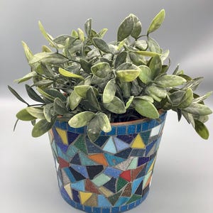 Colourful Mosaic Plant Pot, Hand-Decorated Terracotta with Glass Tiles, 15cm