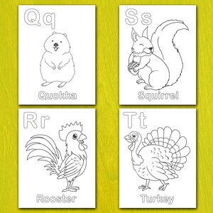 May include: Four white cards with black line drawings of animals and letters. The cards show a quokka with the letter Q, a squirrel with the letter S, a rooster with the letter R, and a turkey with the letter T. The animals are labeled with their names.