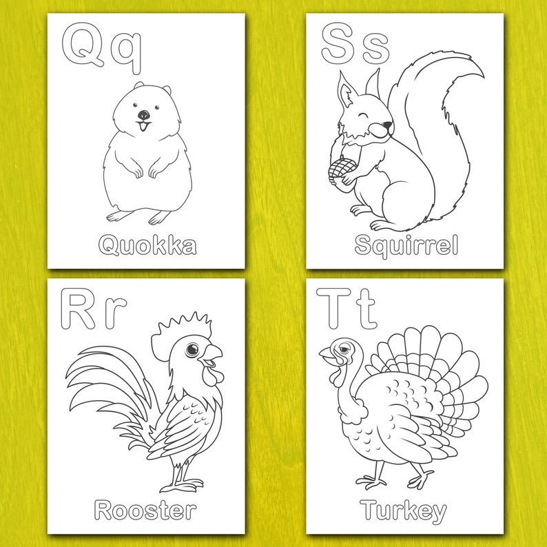 May include: Four white cards with black line drawings of animals and letters. The cards show a quokka with the letter Q, a squirrel with the letter S, a rooster with the letter R, and a turkey with the letter T. The animals are labeled with their names.
