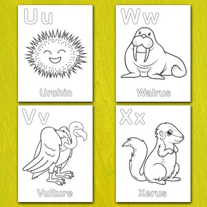 May include: Four flashcards with black and white illustrations of animals and the letters of the alphabet. The cards feature an urchin, walrus, vulture, and xerus. Each card has the letter and the animal's name printed below the illustration.