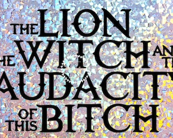 Personalized Custom Novelty Front License Plate, Decorative Auto Tag, Wall Decor, Sign, The Lion The Witch and The Audacity of this Bitch