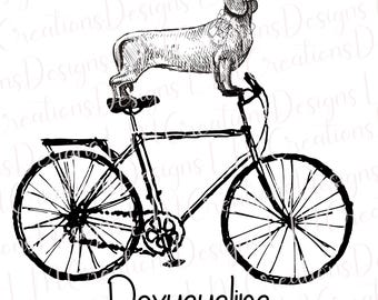 May include: A black and white line art illustration of a dachshund standing on the seat and handlebars of a bicycle. The dog is depicted in a sketch style with visible hatching. Below the bicycle, the word Doxycycline is written in black text.